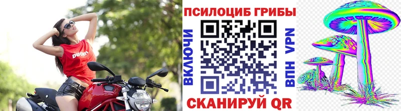 Галлюциногенные грибы Magic Shrooms  omg ONION  Алексин 